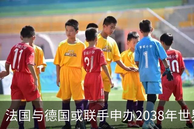 法国与德国或联手申办2038年世界杯，足协主席透露构想